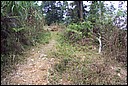 DCP_0715.JPG