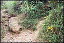 DCP_0717.JPG
