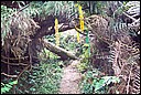 DCP_0720.JPG