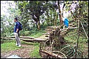 DCP_0721.JPG