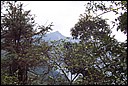 DCP_0724.JPG