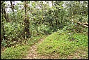 DCP_0725.JPG