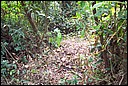DCP_0734.JPG