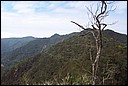 DCP_0738.JPG