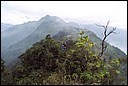 DCP_0740.JPG