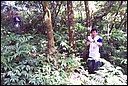 DCP_0749.JPG