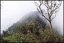 DCP_0752.JPG