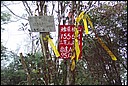 DCP_0758.JPG