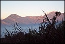 DCP_0778.JPG