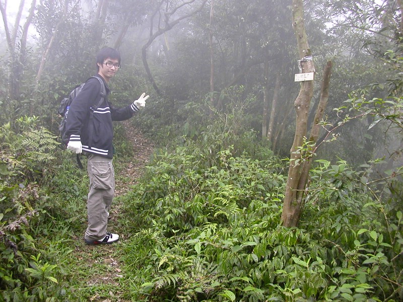 DSCN2768.JPG