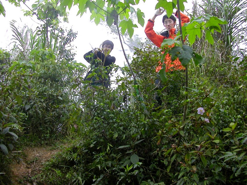 DSCN2772.JPG