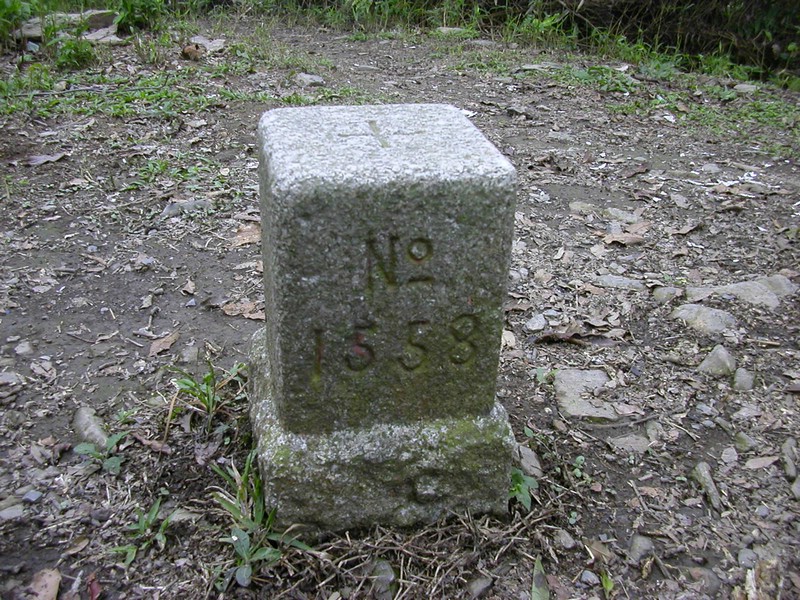 DSCN2779.JPG