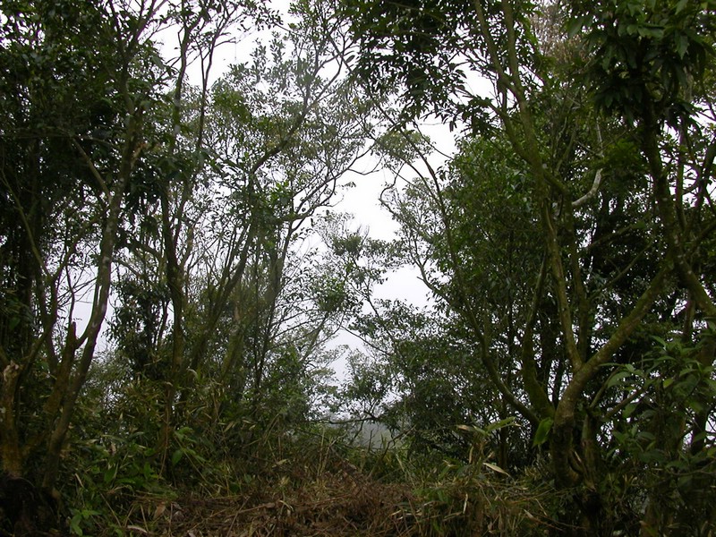 DSCN2780.JPG