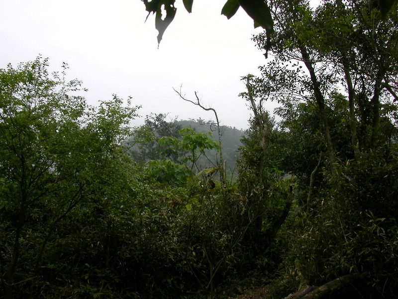DSCN2785.JPG