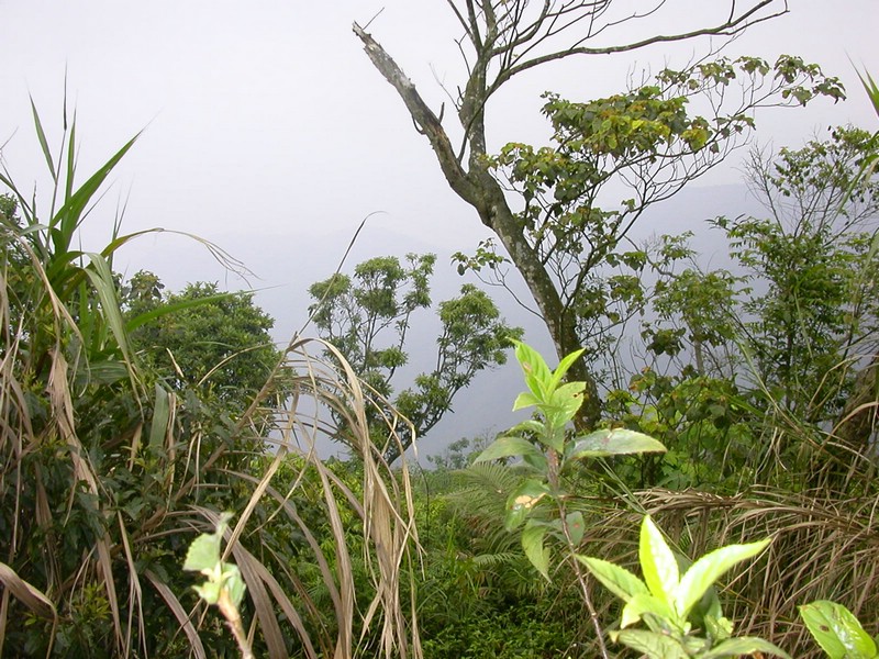 DSCN2788.JPG