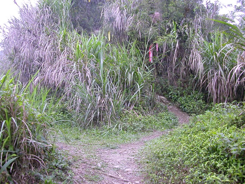 DSCN2795.JPG