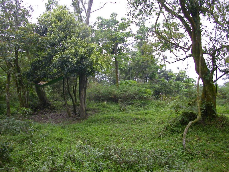 DSCN2797.JPG