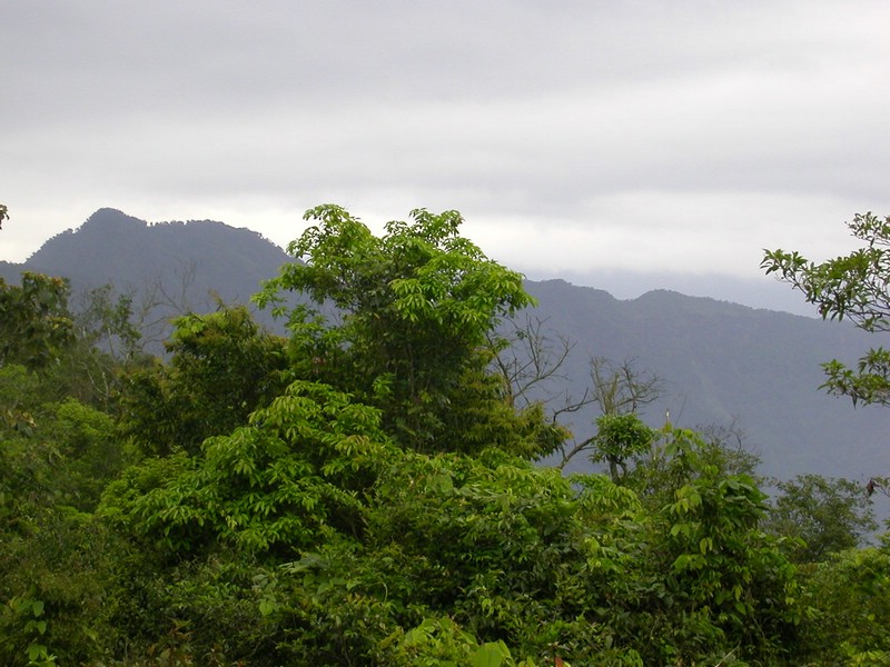 DSCN2805.JPG