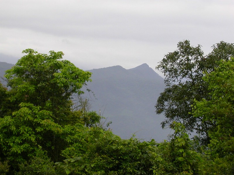 DSCN2806.JPG