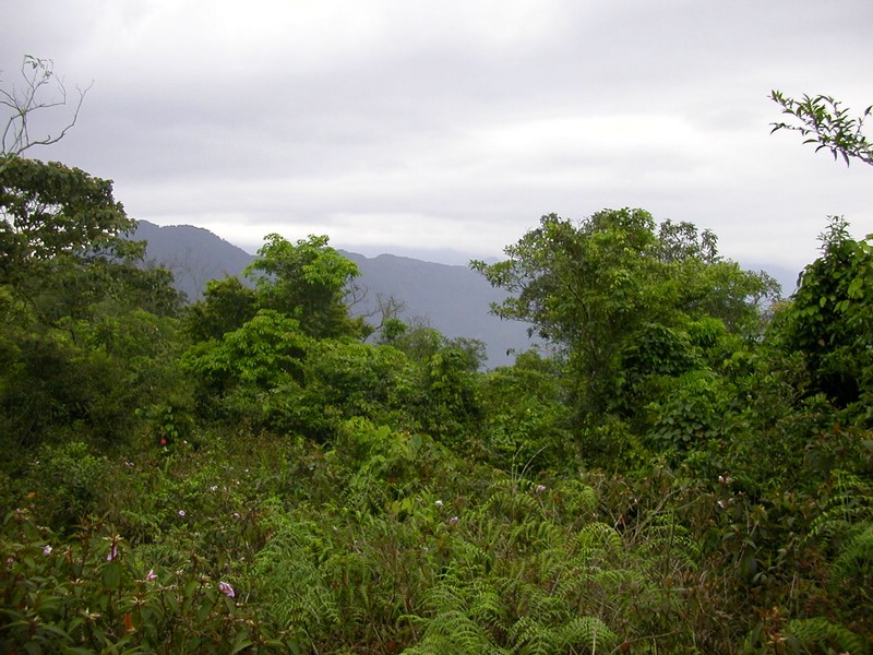 DSCN2807.JPG