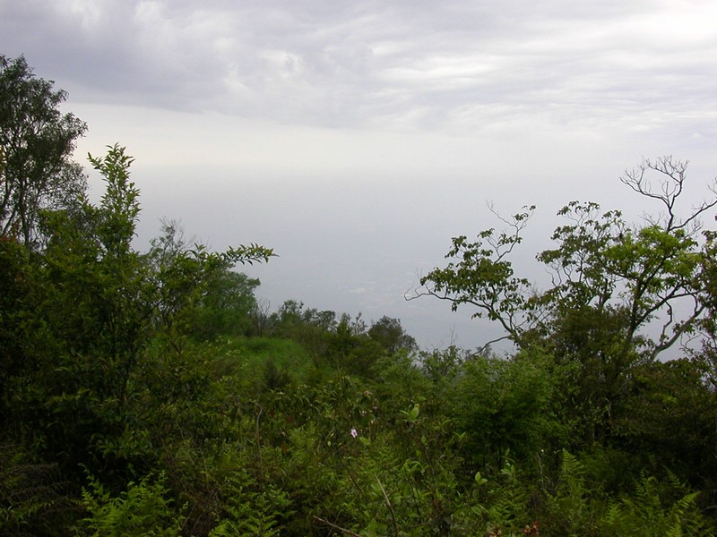DSCN2809.JPG