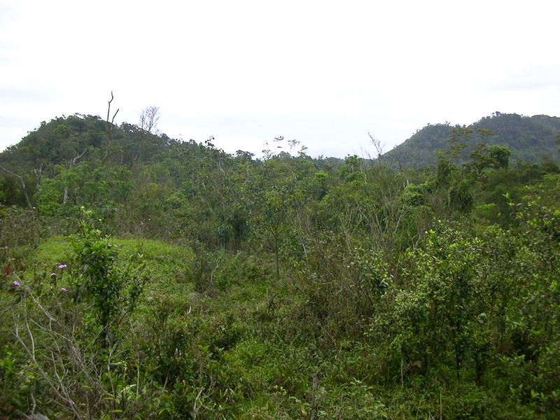 DSCN2815.JPG