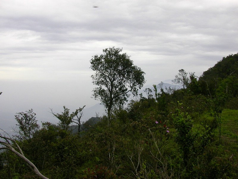 DSCN2816.JPG