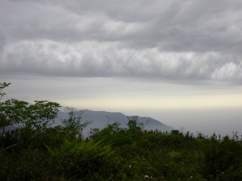 DSCN2817.JPG