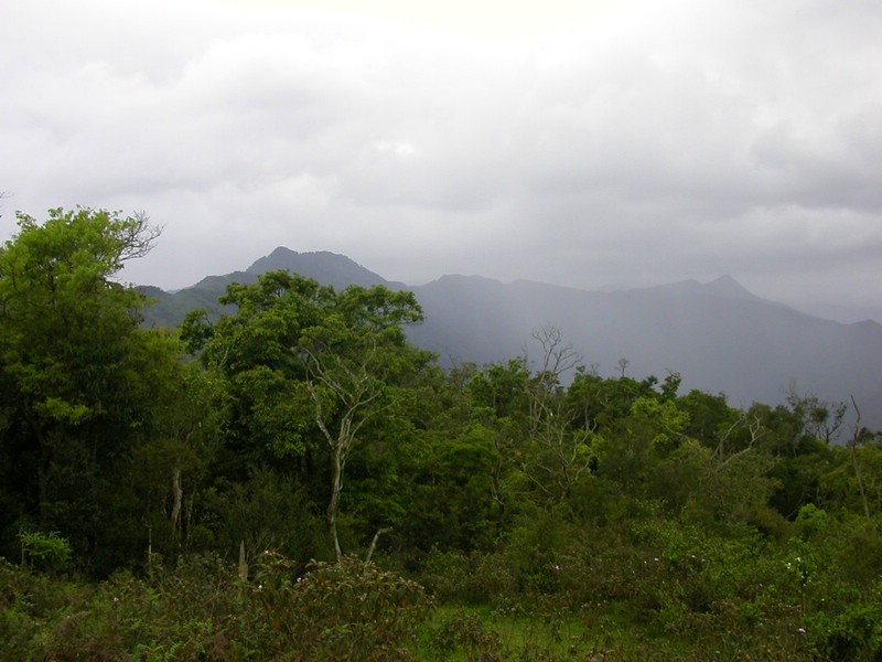 DSCN2819.JPG