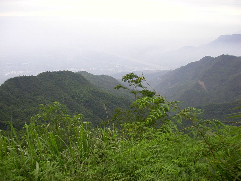 DSCN2831.JPG