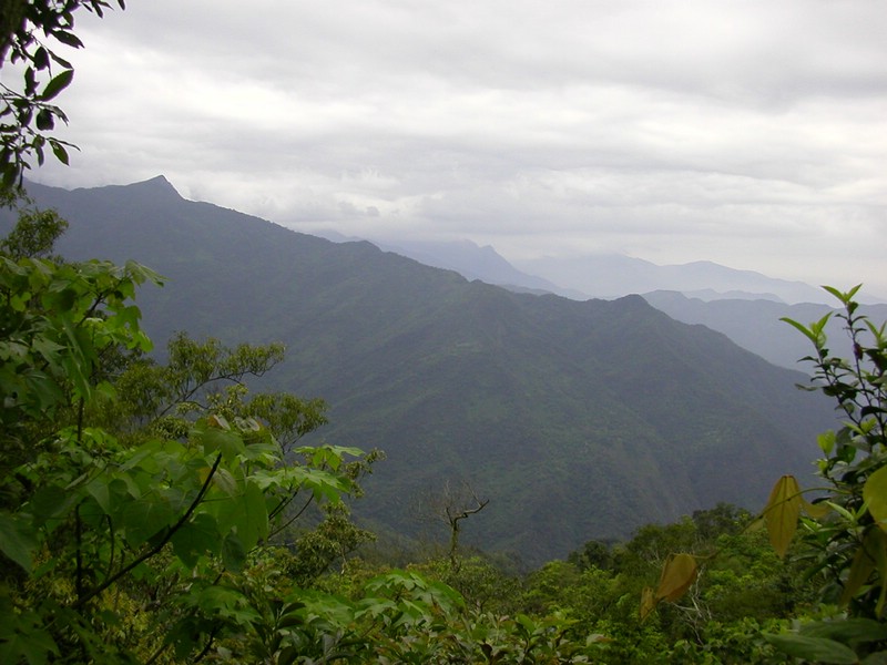 DSCN2841.JPG