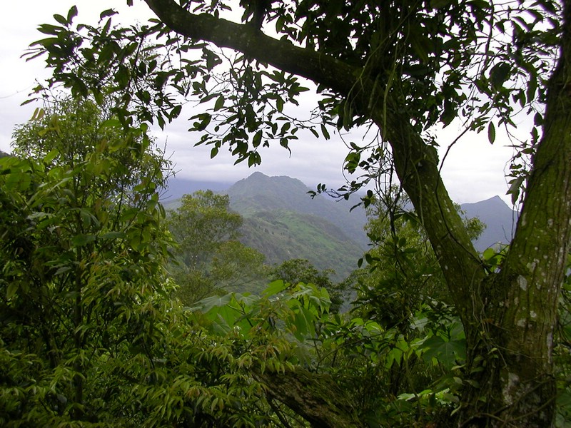 DSCN2842.JPG
