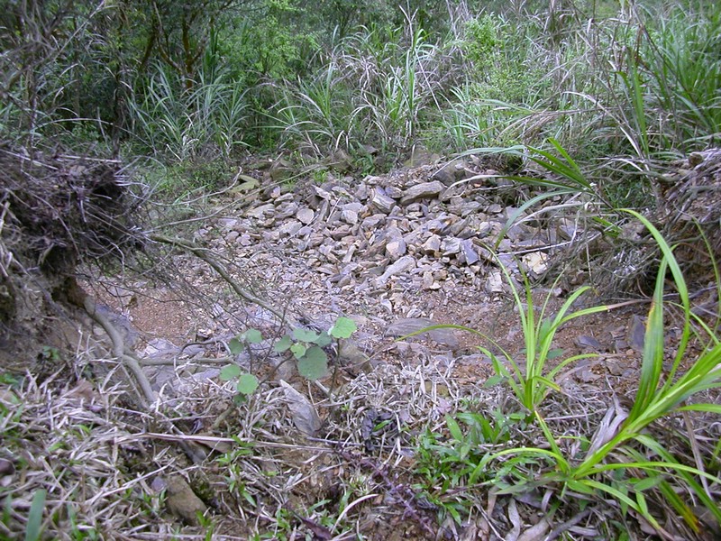 DSCN2849.JPG