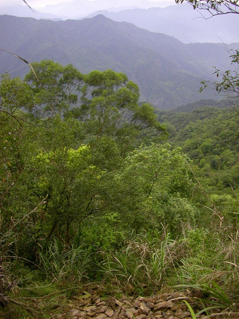 DSCN2850.JPG