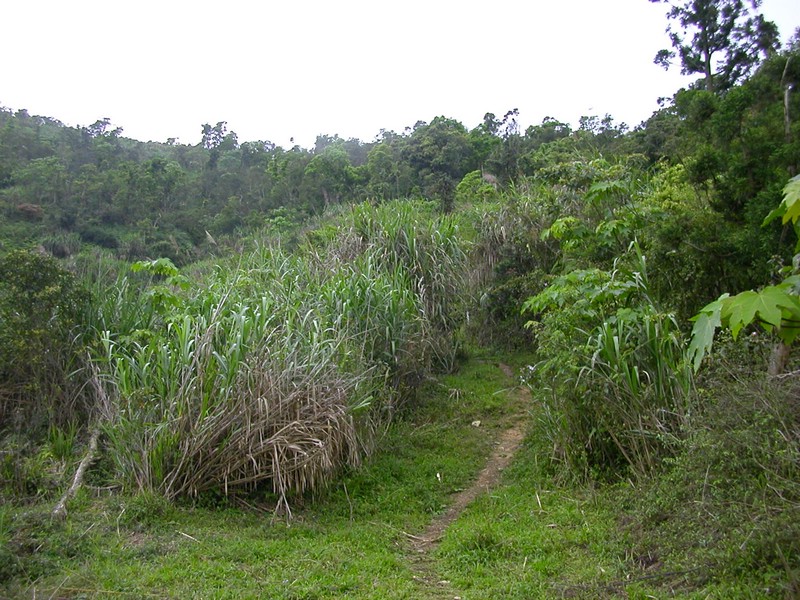 DSCN2865.JPG