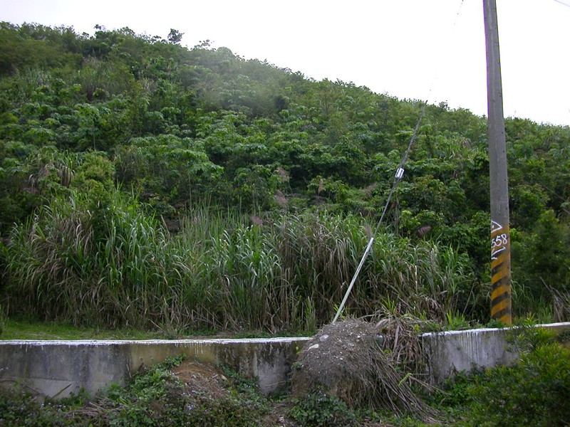 DSCN2873.JPG