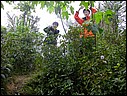 DSCN2772.JPG