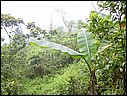 DSCN2773.JPG