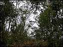 DSCN2780.JPG
