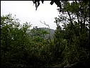 DSCN2785.JPG