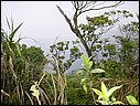 DSCN2788.JPG