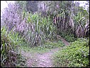 DSCN2795.JPG