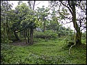 DSCN2797.JPG