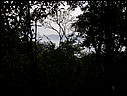 DSCN2801.JPG
