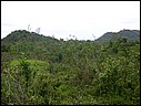 DSCN2815.JPG