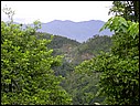 DSCN2835.JPG