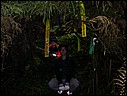 DSCN2852.JPG