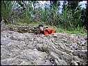 DSCN2857.JPG