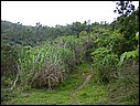 DSCN2865.JPG