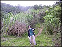 DSCN2866.JPG